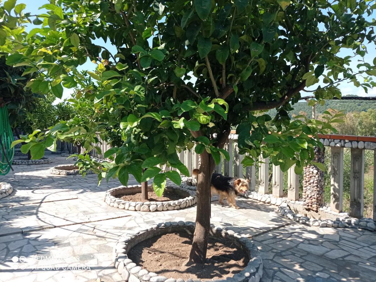 페스키치 Casa Dei Limoni 아파트 외부 사진